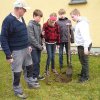 Schulpflanzaktion Deutsche Umweltstiftung